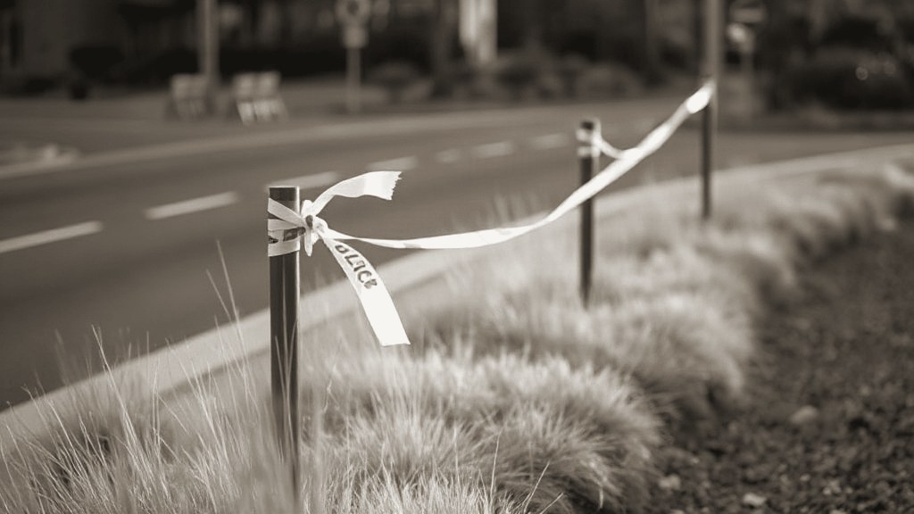 Police search for suspect after ninth woman is found dead in Dawn Park
